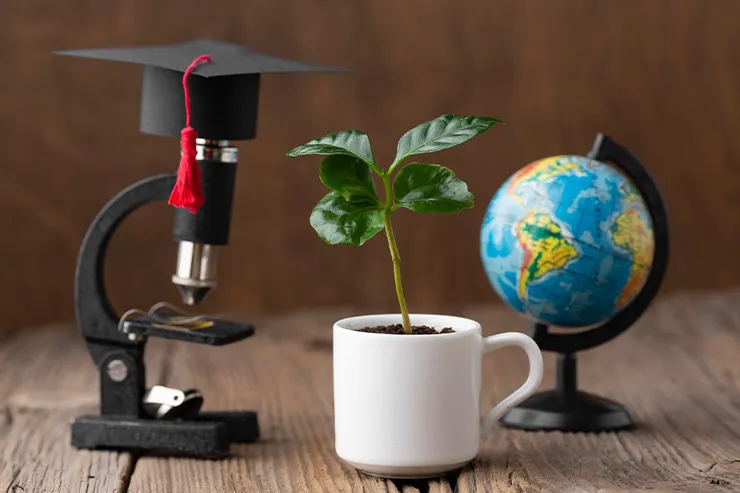Microscope, globe and a plant on table